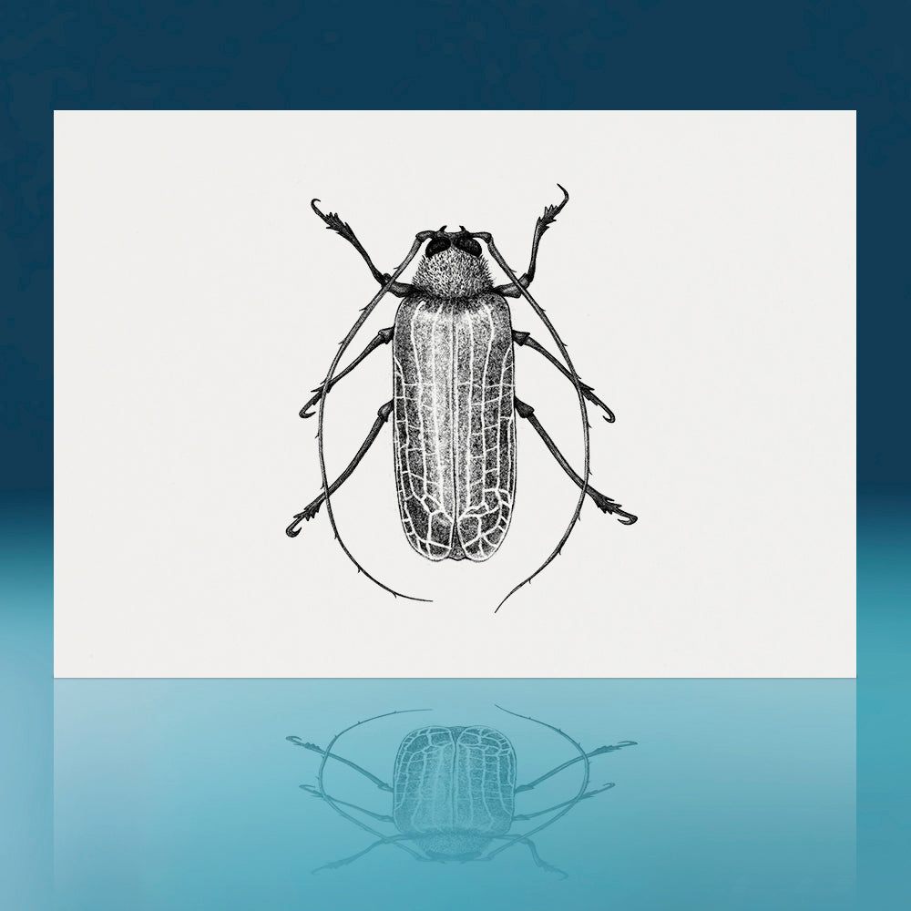 Huhu Beetle Art Print