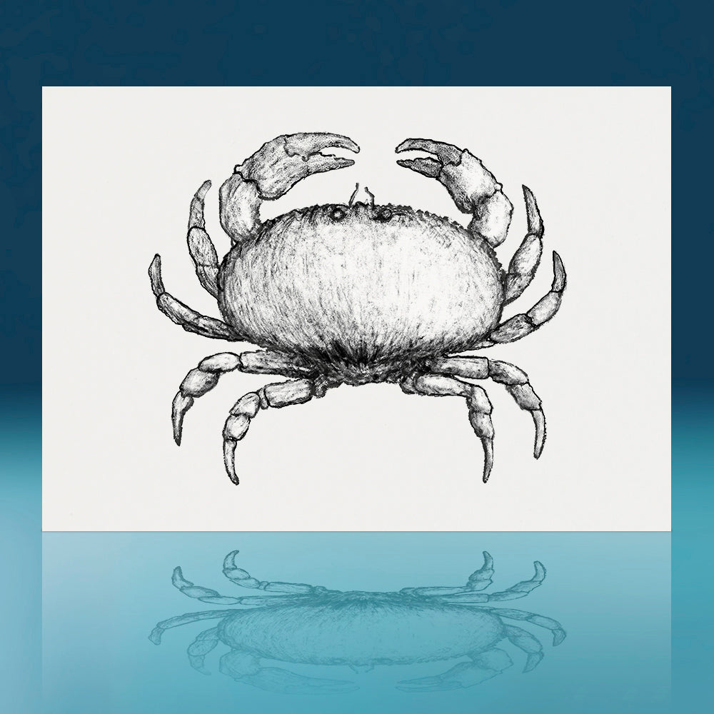 Pie Crust Crab Art Print