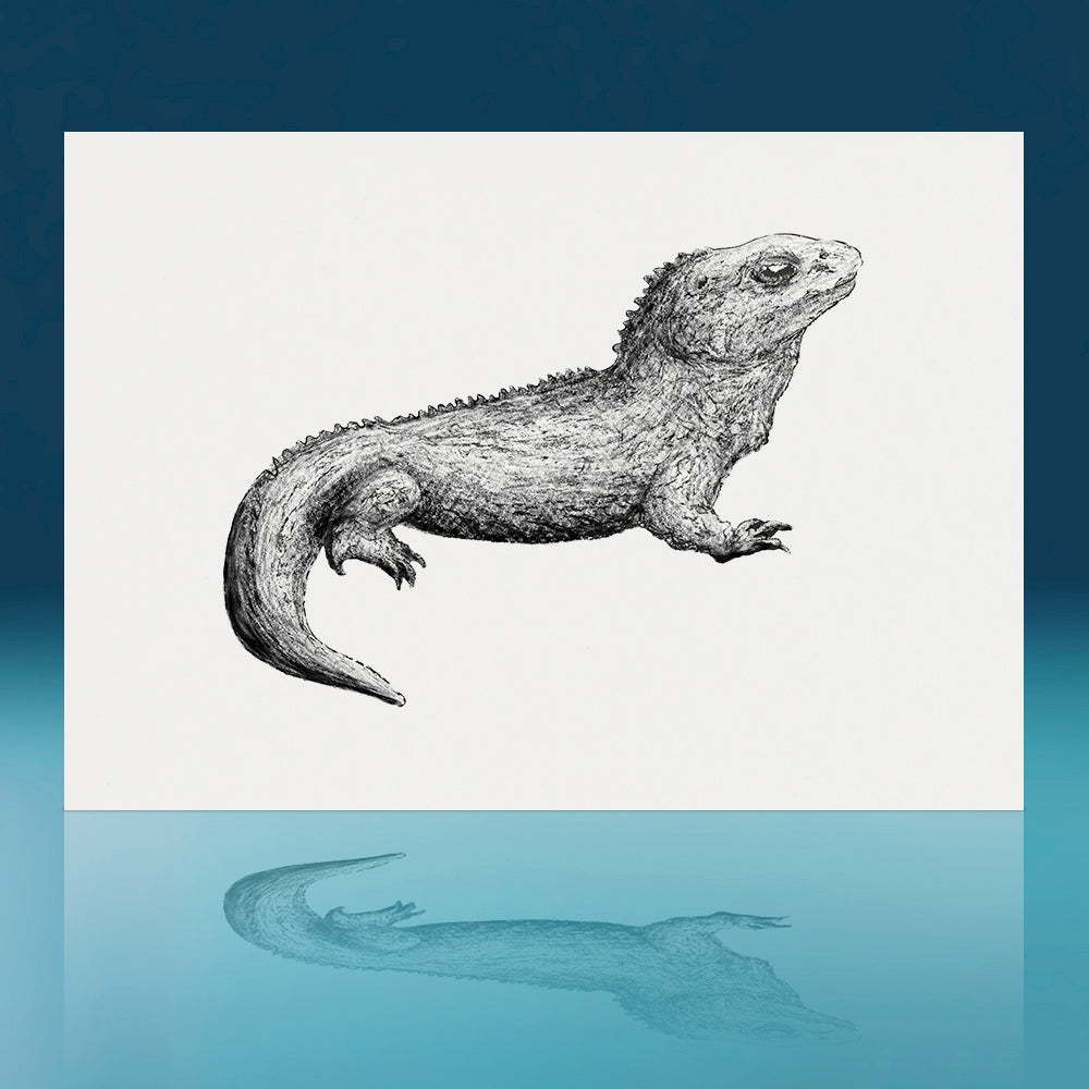 Tuatara Art Print