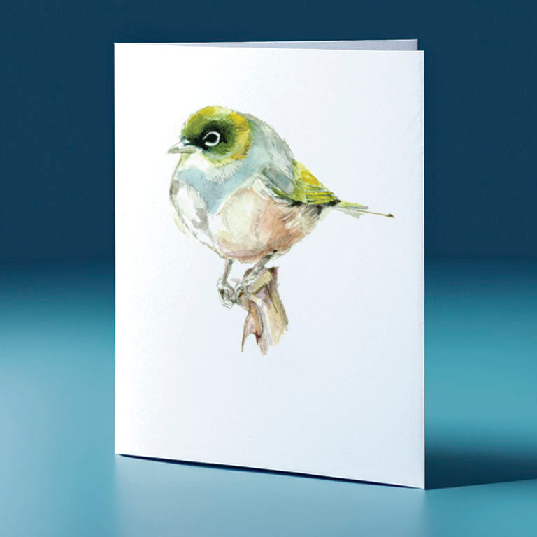 silver eye 1 water colour bird themed greeting card