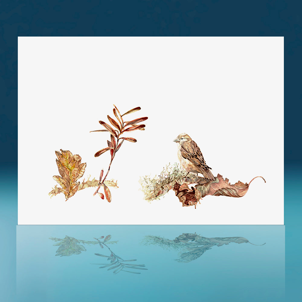 Sparrow Art Print