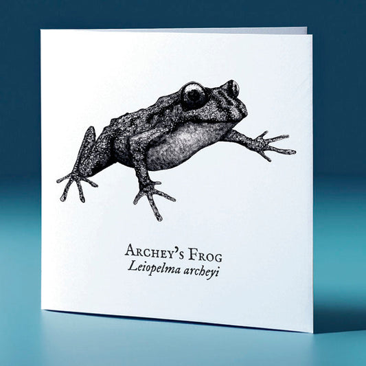 archeys frog critter themed greeting card