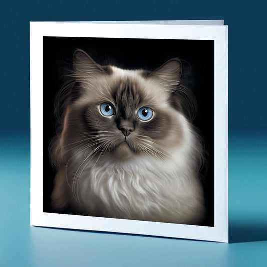 Chocolate coloured birman -cat themed greeting card
