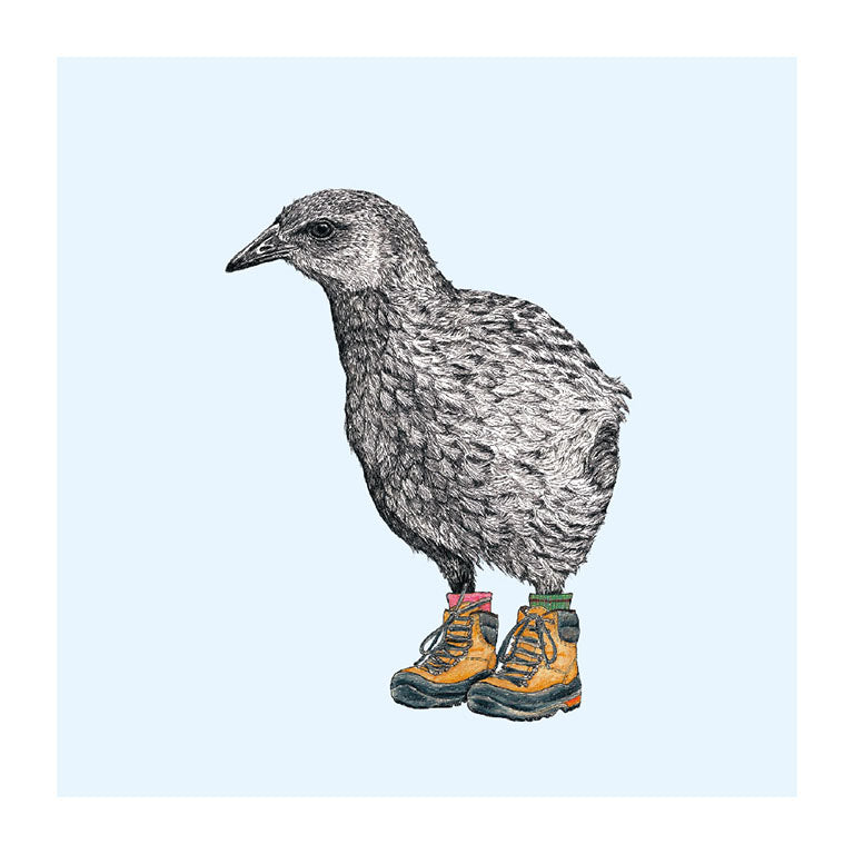 boots weka pastel bird themed greeting card