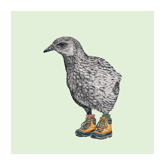boots weka pastel bird themed greeting card