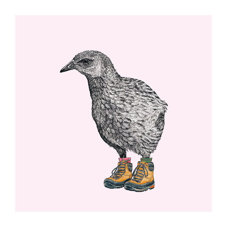 boots weka pastel bird themed greeting card