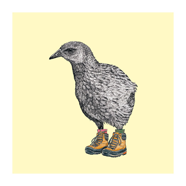 boots weka pastel bird themed greeting card