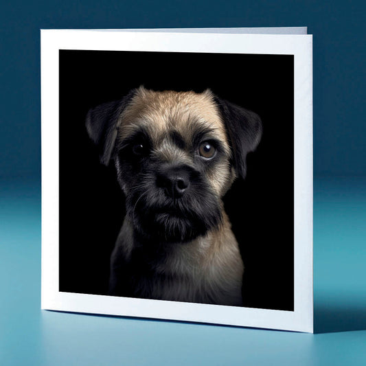 Border Terrier - dog themed greeting card