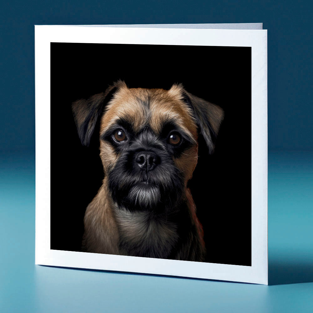 Young Border Terrier - dog themed greeting card