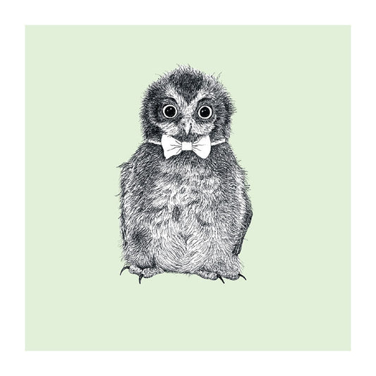 bowtie ruru pastel bird themed greeting card