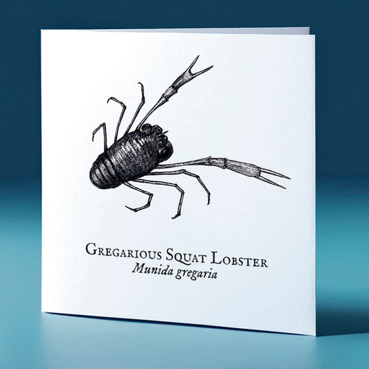 gregarious squat lobster critter themed greeting card