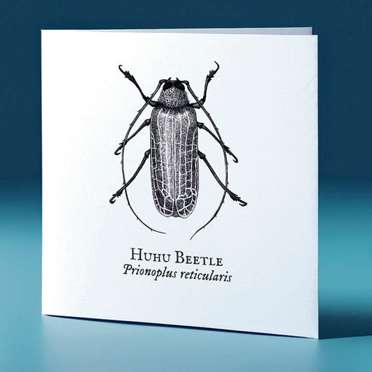 huhu beetle critter themed greeting card