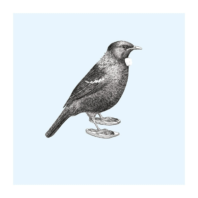 jandals tui pastel bird themed greeting card