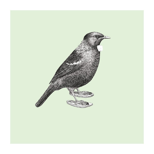 jandals tui pastel bird themed greeting card