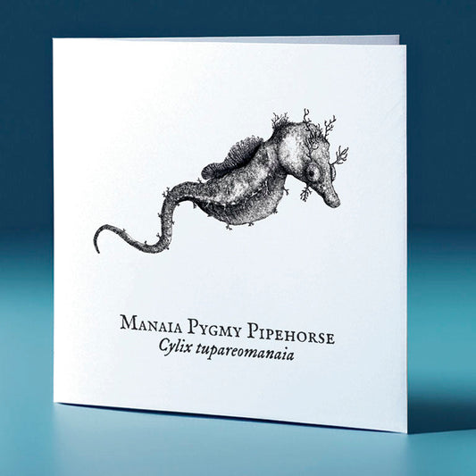 manaia pygmy pipehorse critter themed greeting card