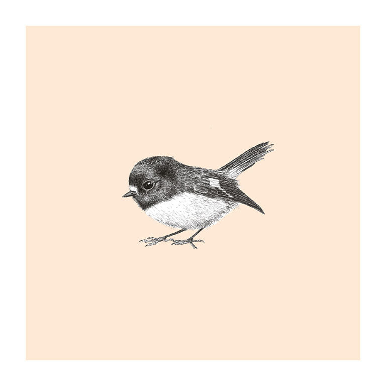 miromiro pastel bird themed greeting card