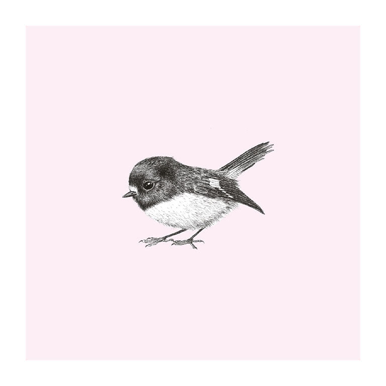 miromiro pastel bird themed greeting card