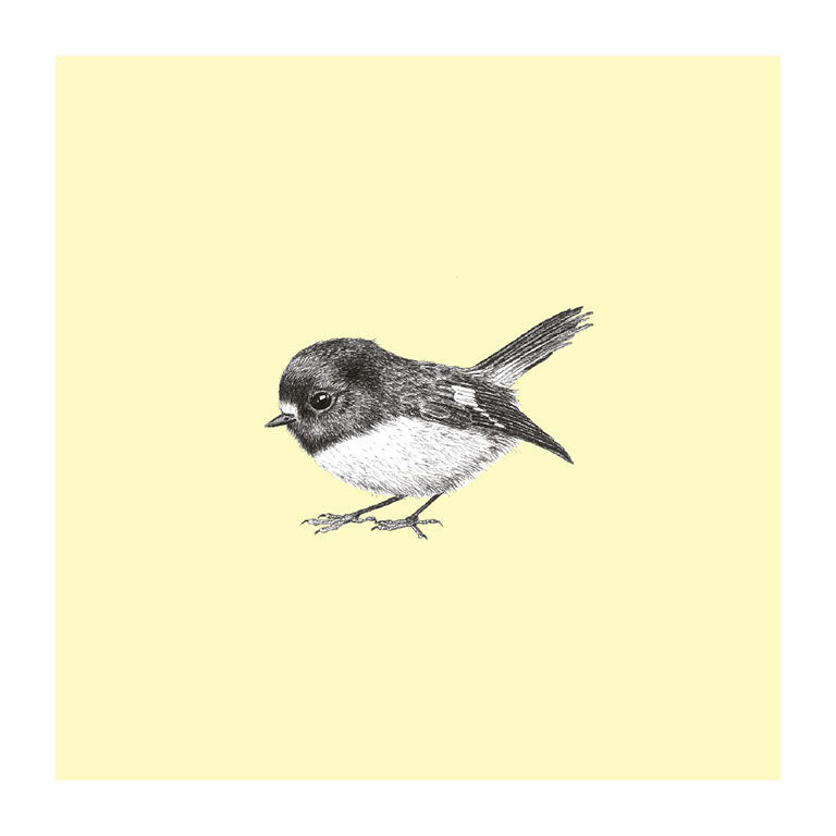 miromiro pastel bird themed greeting card