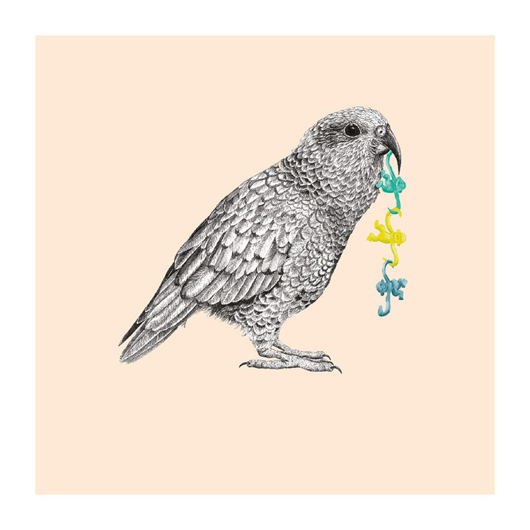 monkeys kea pastel bird themed greeting card