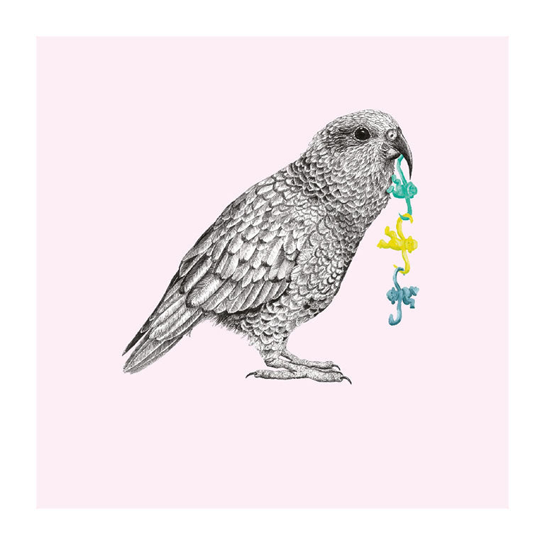 monkeys kea pastel bird themed greeting card