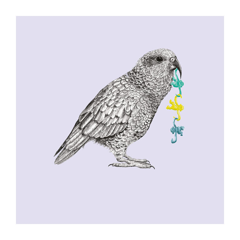 monkeys kea pastel bird themed greeting card