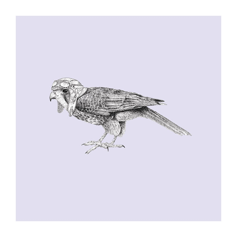 pilot karearea pastel bird themed greeting card