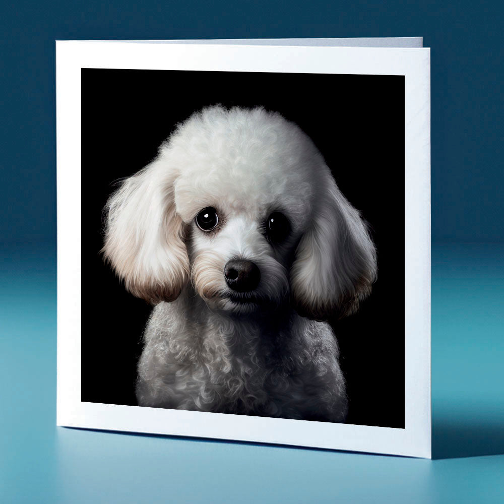 Poodle - dog themed greeting card