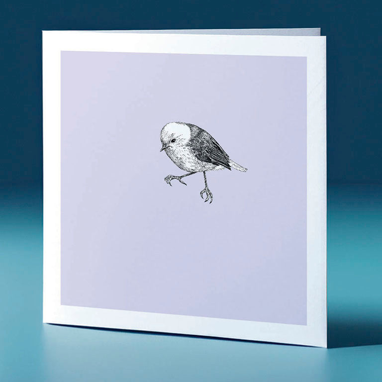 popokotea pastel bird themed greeting card
