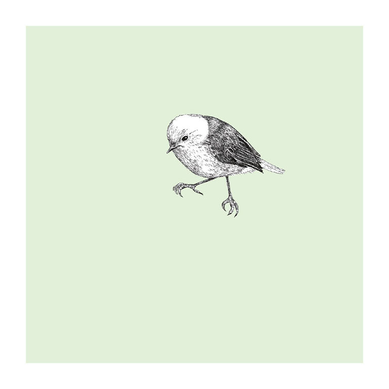 popokotea pastel bird themed greeting card