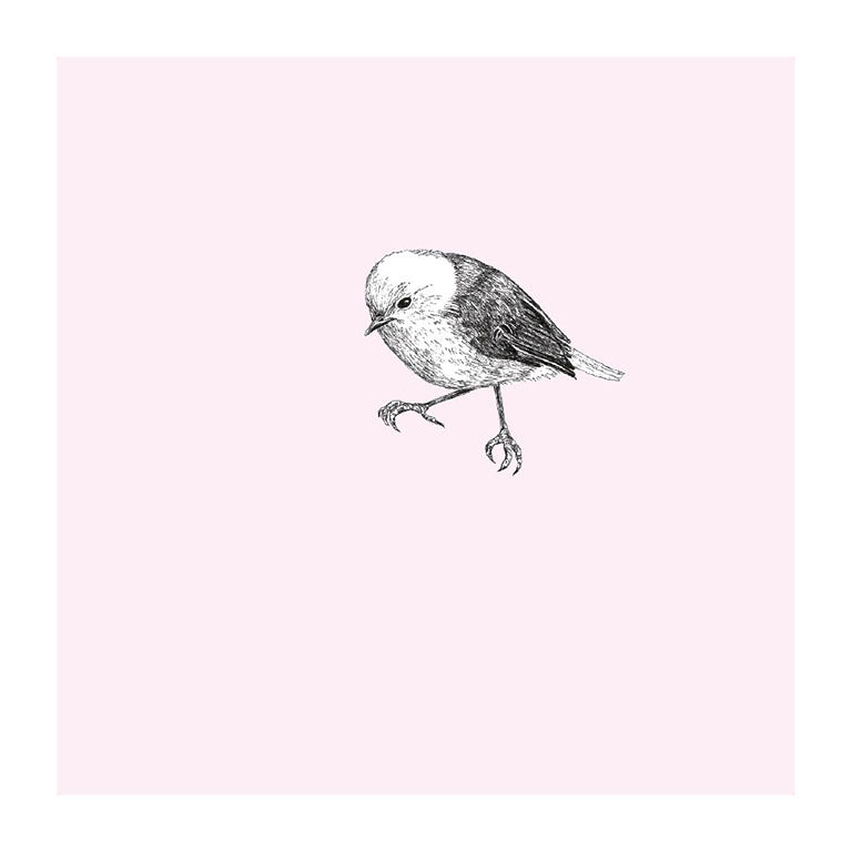 popokotea pastel bird themed greeting card