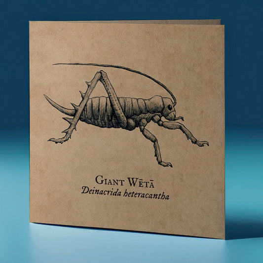 giant weta critter themed greeting card
