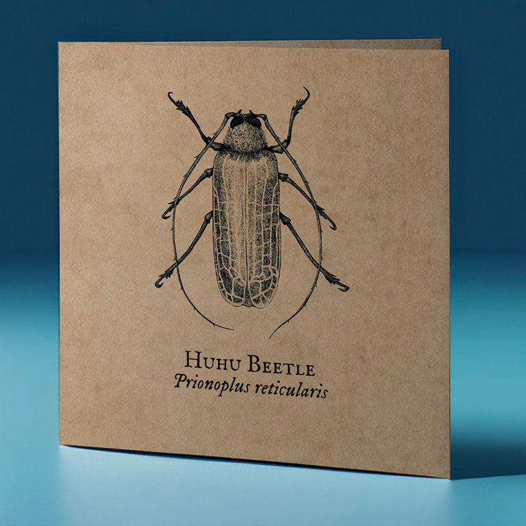 huhu beetle critter themed greeting card