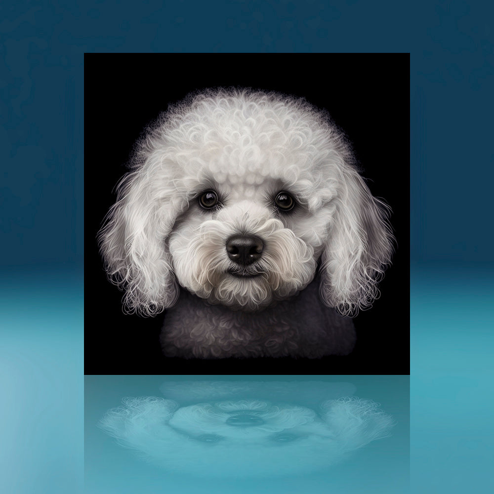 Bichon Frise Dog Art Print