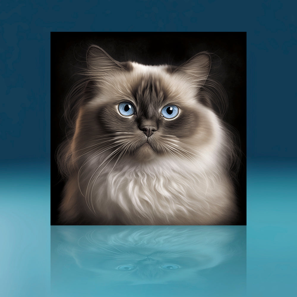 Chocolate Birman Cat Art Print