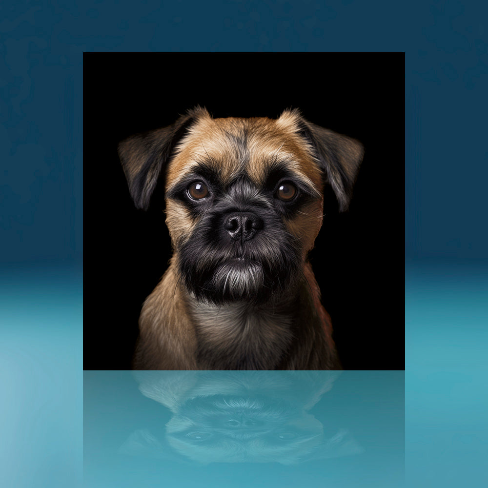 Small Border Terrier Dog Art Print