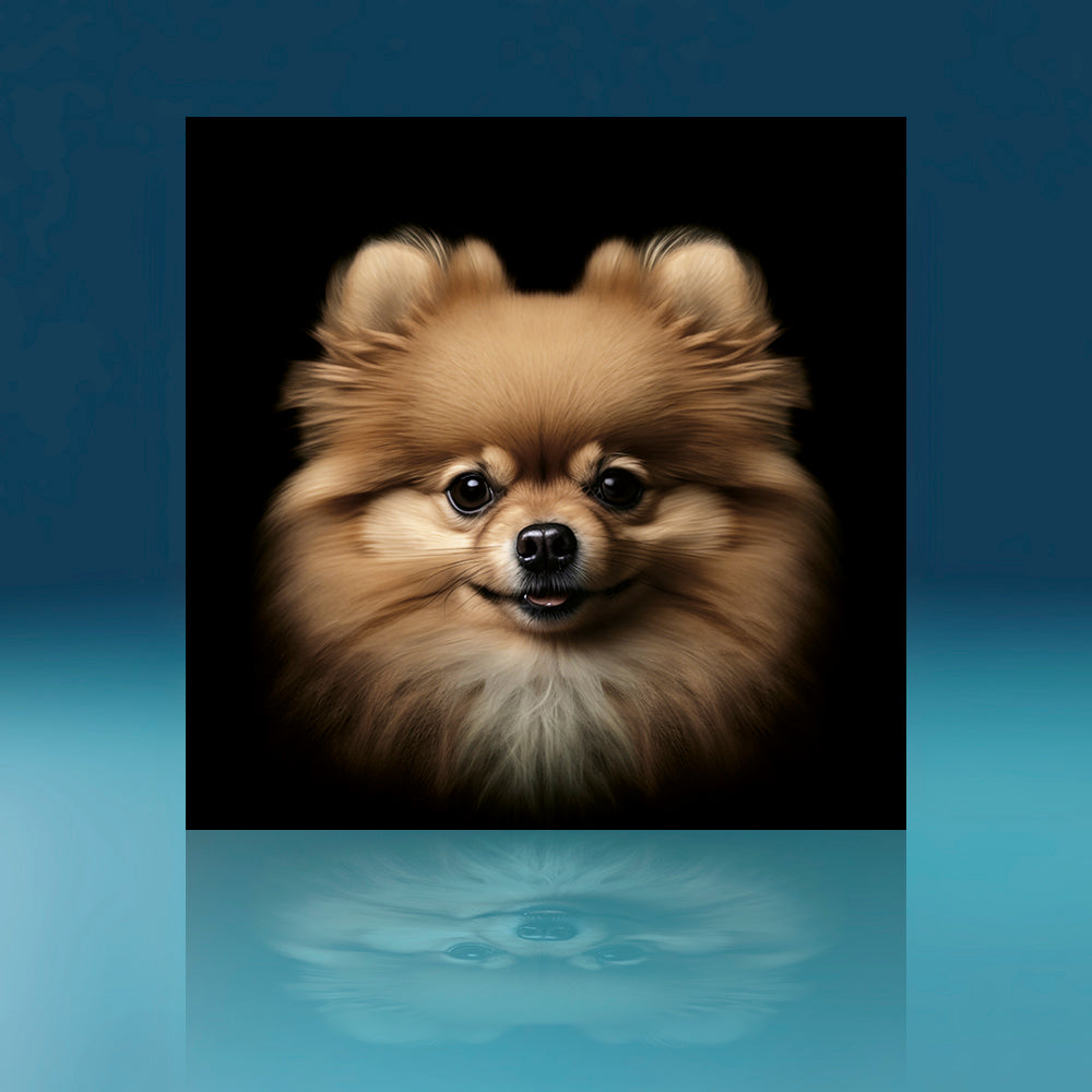 Pomeranian Dog Art Print