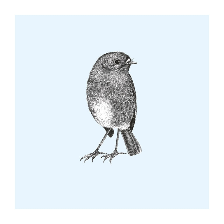 toutouwai pastel bird themed greeting card