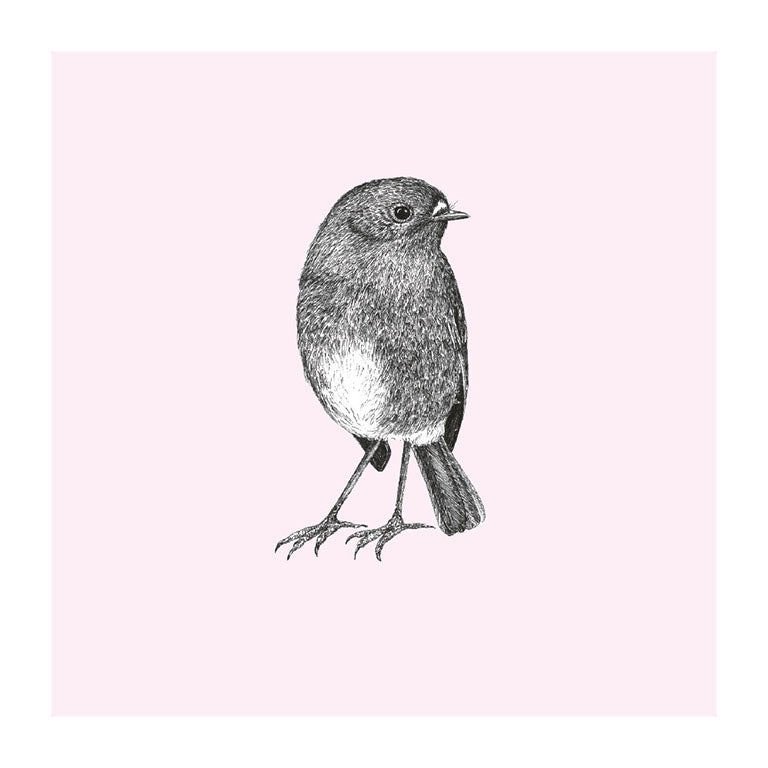 toutouwai pastel bird themed greeting card