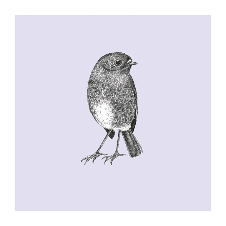 toutouwai pastel bird themed greeting card