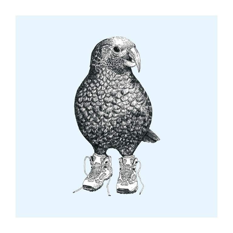 trainers kea pastel bird themed greeting card