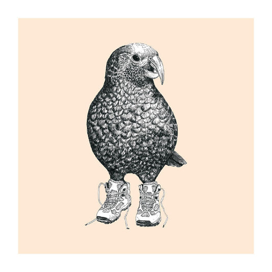 trainers kea pastel bird themed greeting card