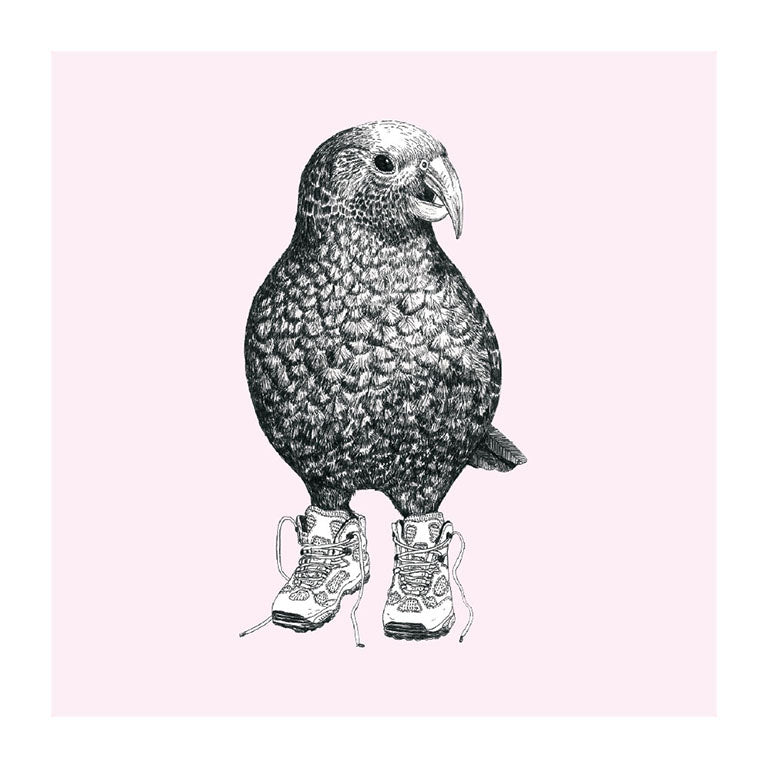 trainers kea pastel bird themed greeting card