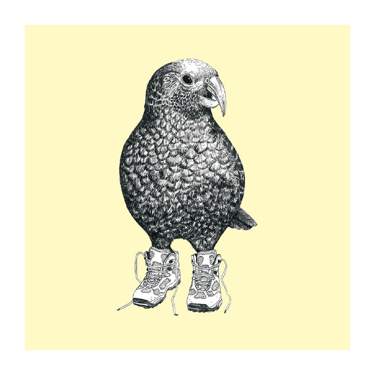 trainers kea pastel bird themed greeting card