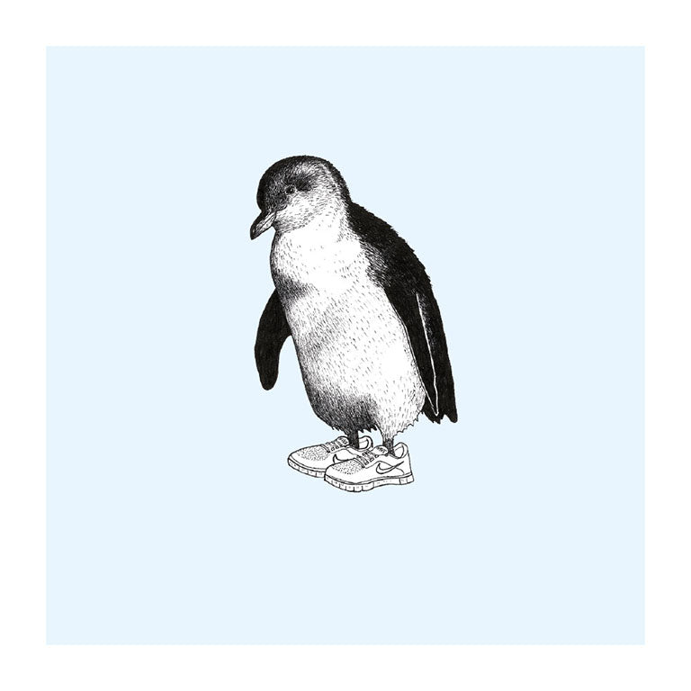 trainers korora pastel bird themed greeting card