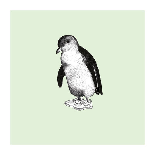 trainers korora pastel bird themed greeting card