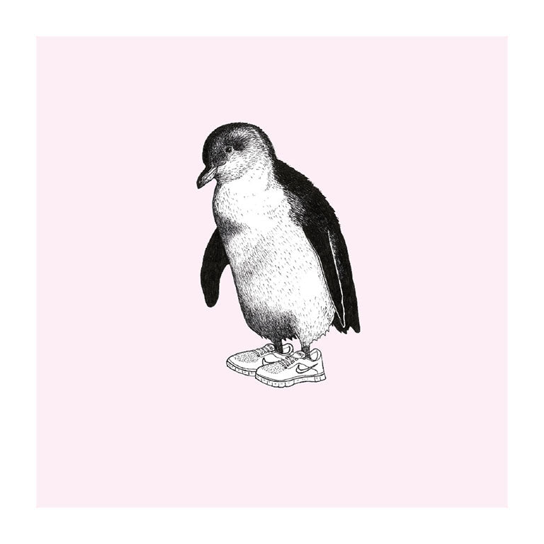 trainers korora pastel bird themed greeting card