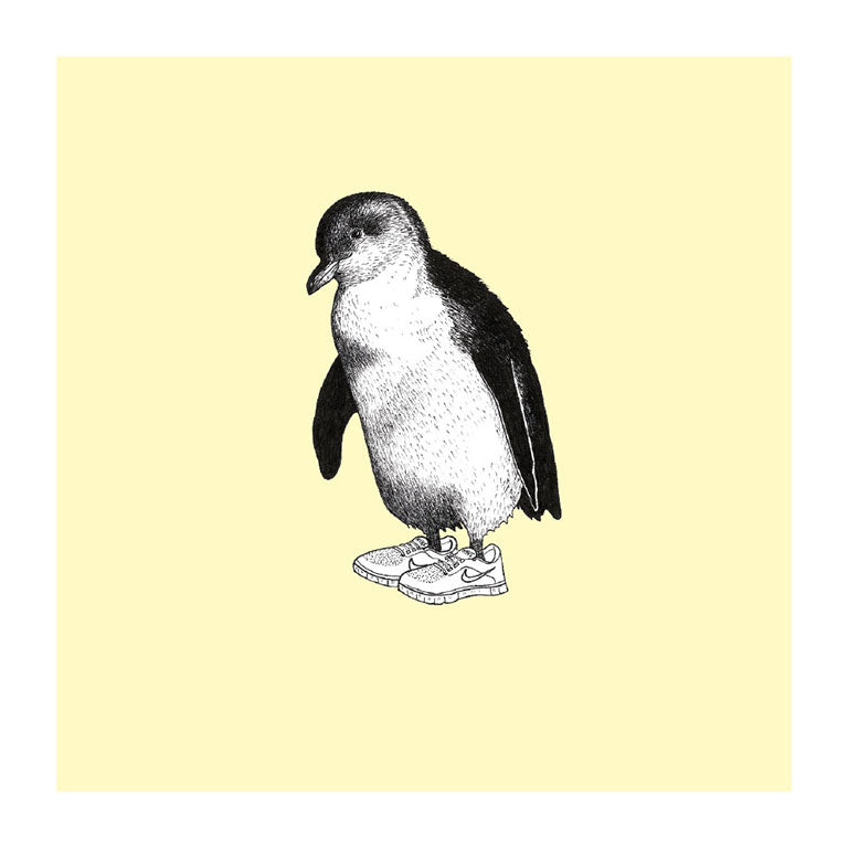 trainers korora pastel bird themed greeting card