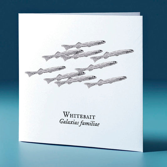 whitebait critter themed greeting card