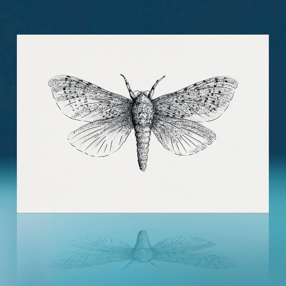 Art Prints