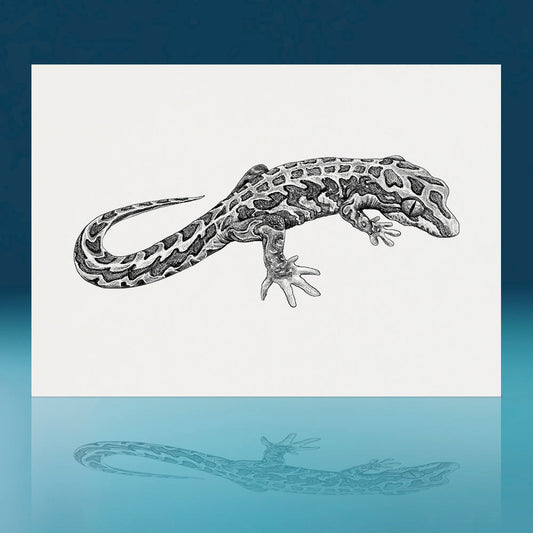 Harlequin Gecko Art Print
